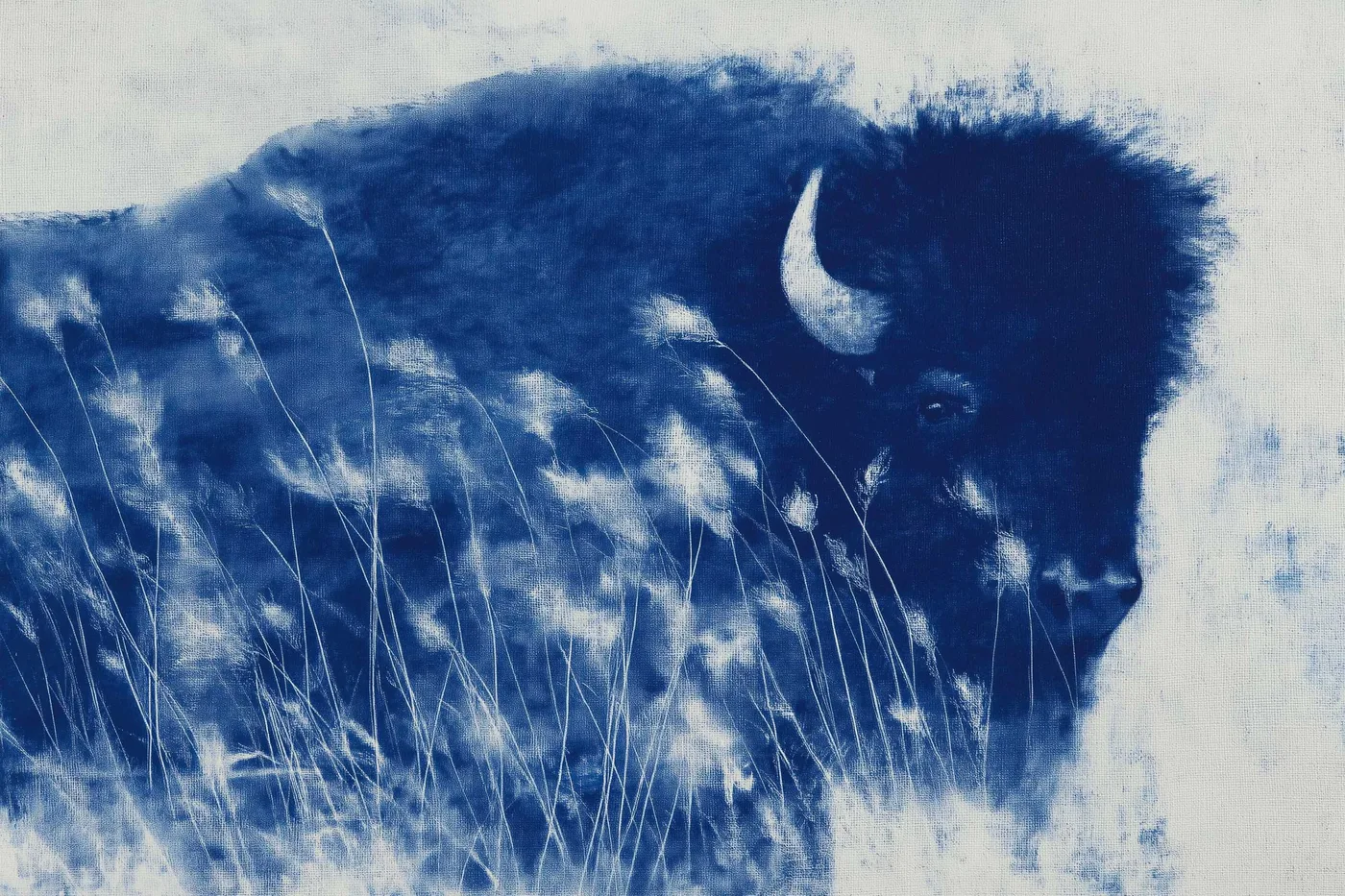 Bison in Tall Grass — Indigo Animal artwork