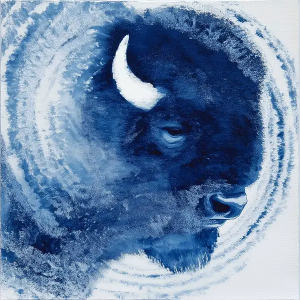 Resting Bison — Indigo Animal artwork