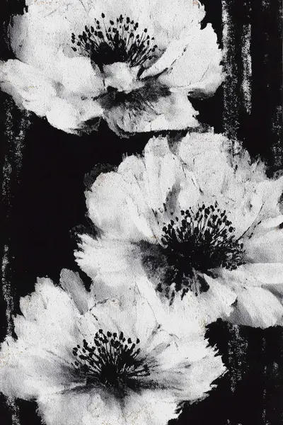White Flowers on Black Background — Black & White Floral & Botanical artwork